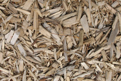 biomass boilers Apse Heath